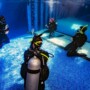 What it’s like becoming a scuba diving instructor