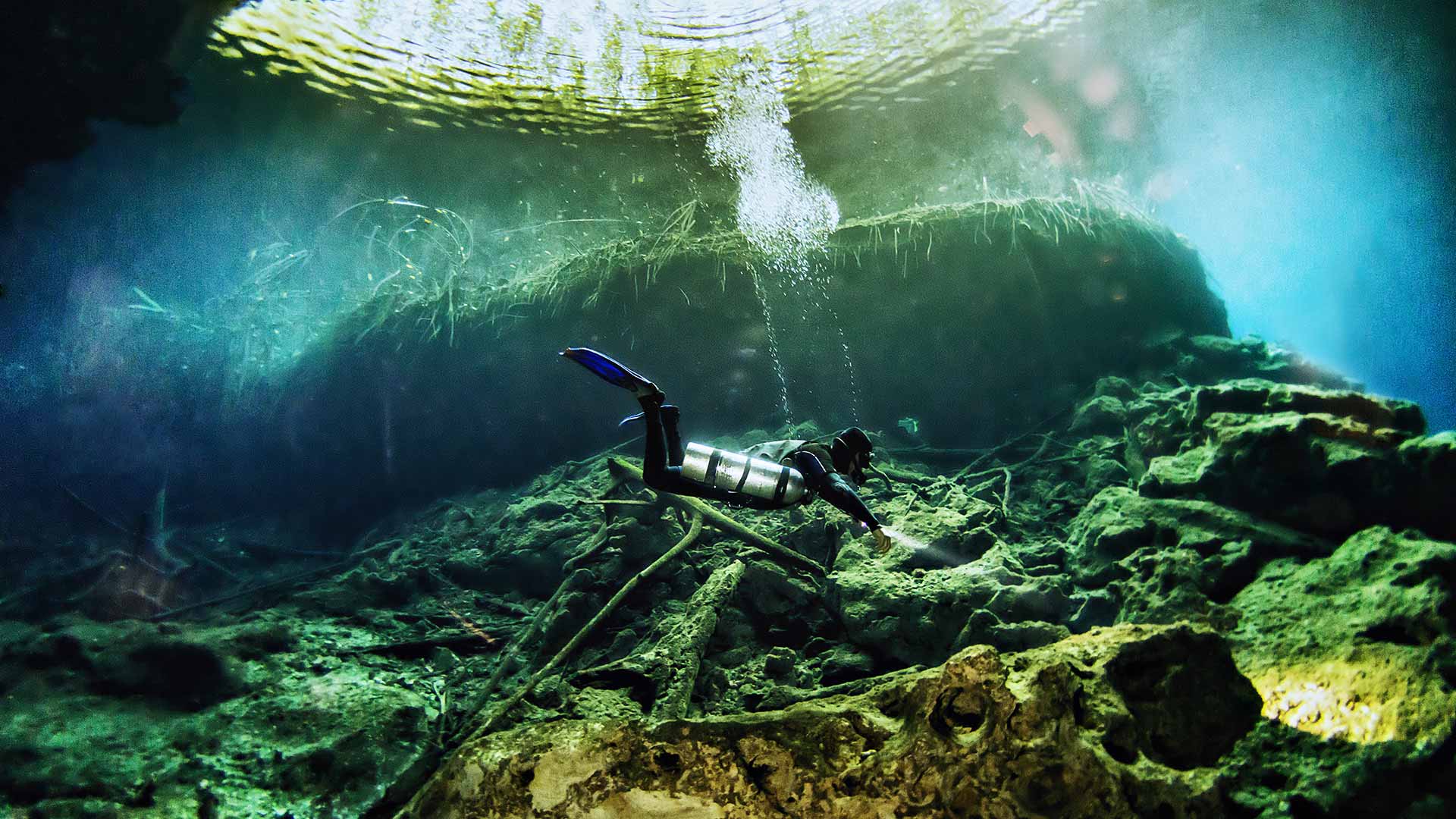 Buceo en Cenotes