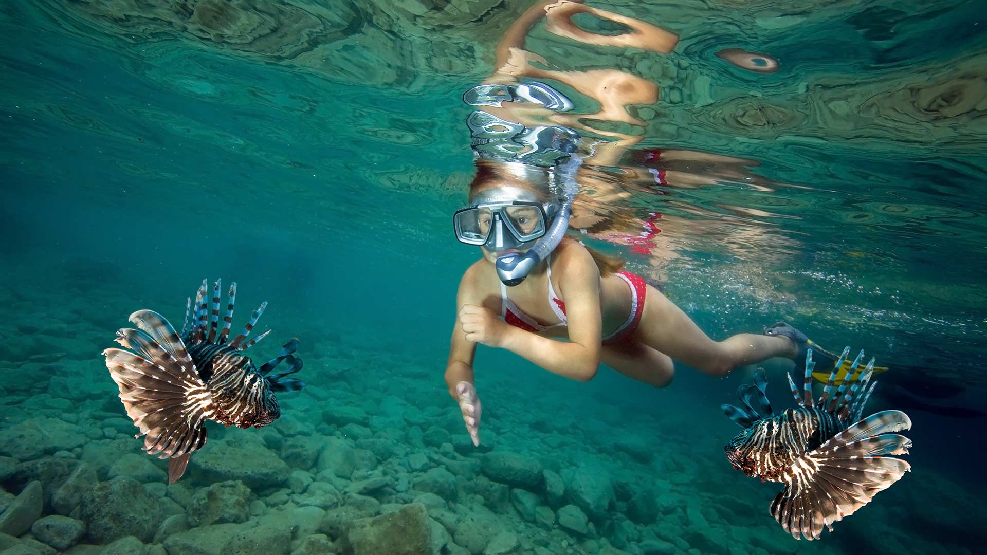 Snorkeling in Playa del Carmen