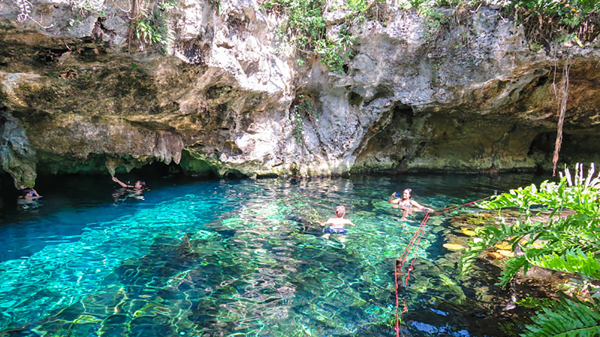 Snorkeling en Cénotes