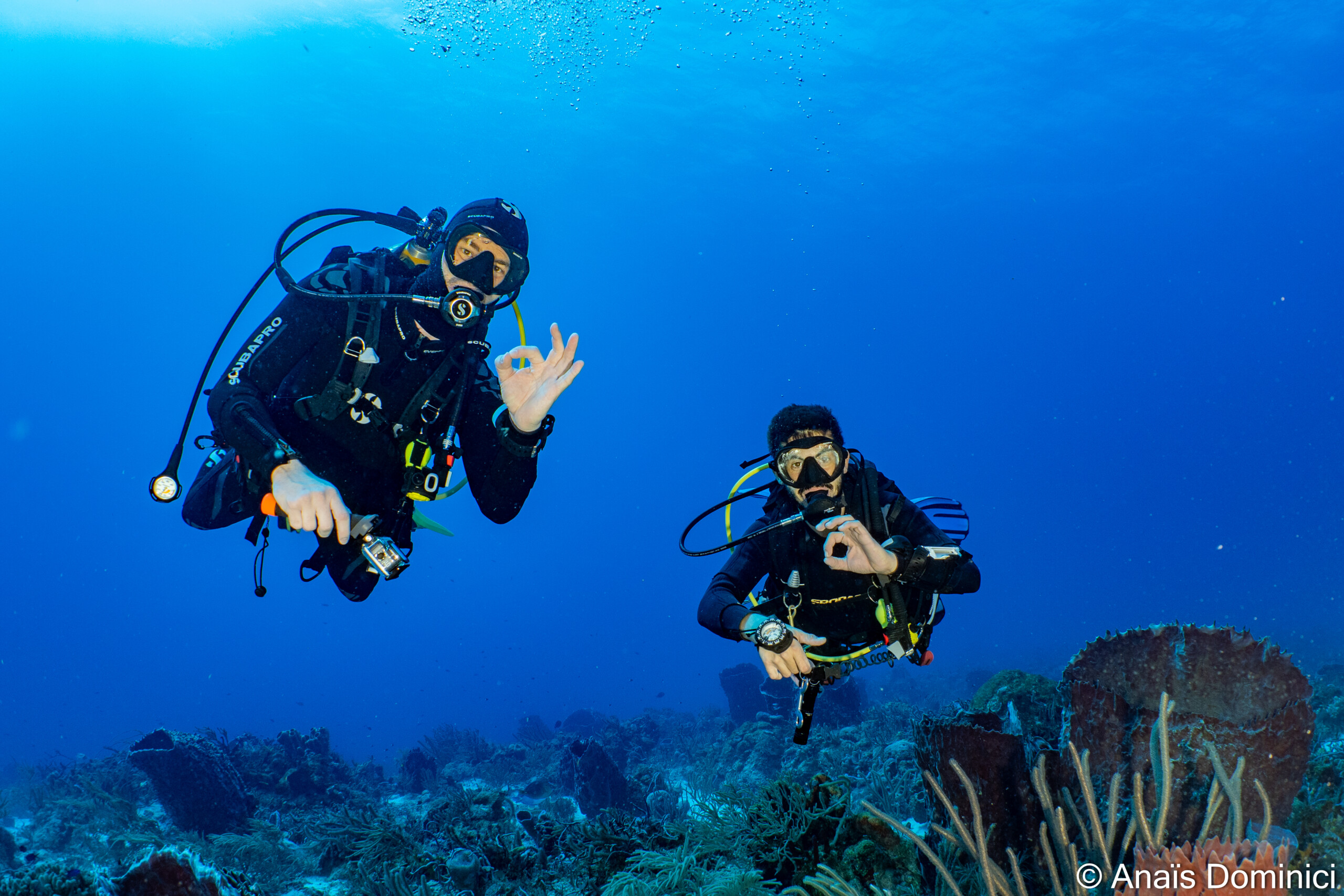 Fun Dives Cozumel South Marine Park Special - Mexico Blue Dream