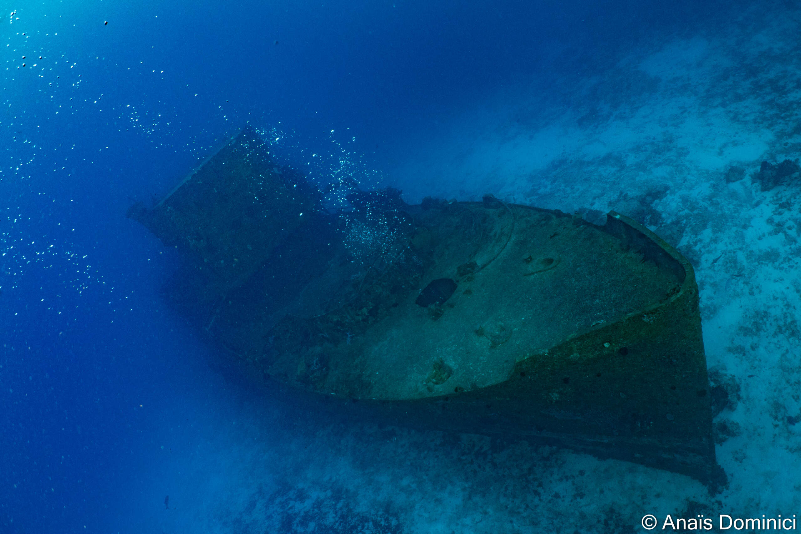 Wreck diver PADI Specialities